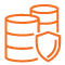 Trust Safety Protecting Data Icon